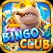 BINGO CLUB ONLINE 1