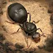 The Ants MOD APK (Menu, Vô Hạn Tiền, Vàng, Kim Cương) v3.16.0